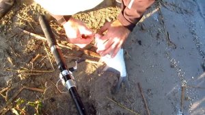 Ловля леща на водохранилище