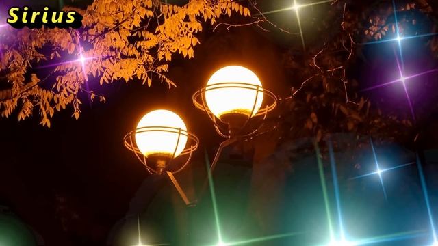 Женщину-ведьму можно определить по этим признакам