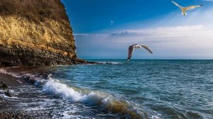 О, море, море... Автор стихов Мария Нечаева. Музыка и исполнение Николай Саллас