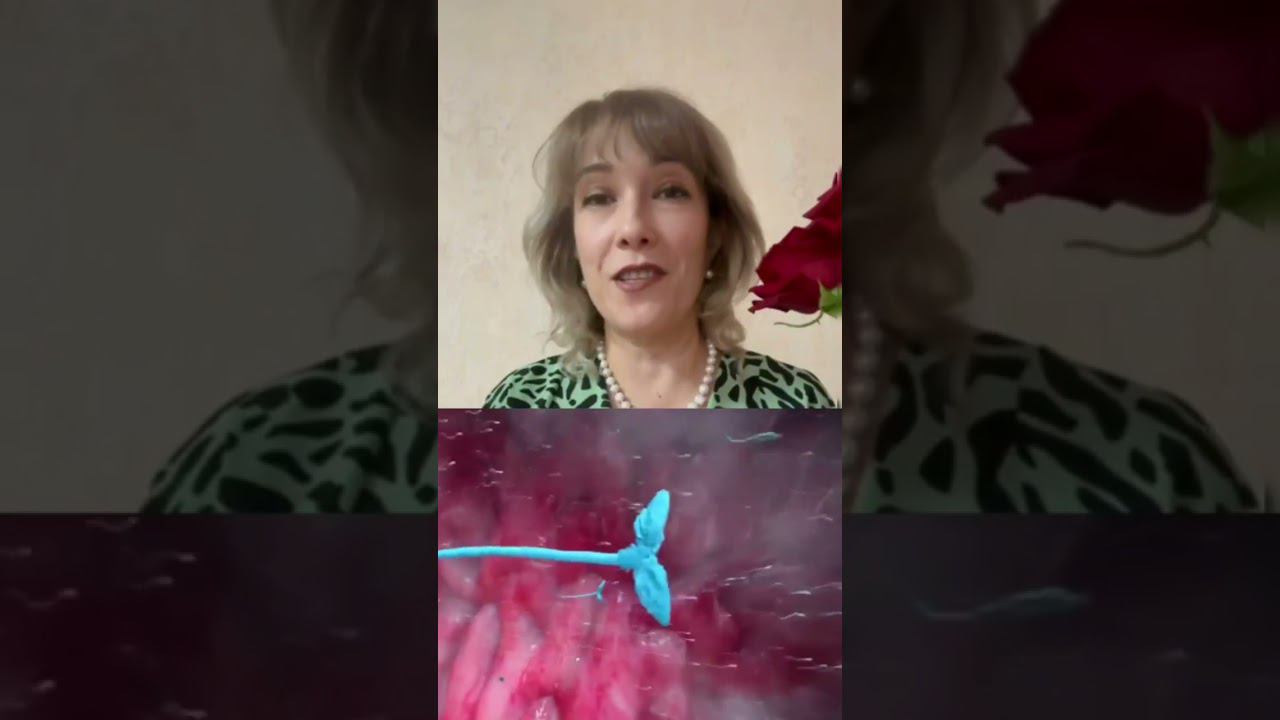 Секреты нашего мозга. Как победить неизлечимую болезнь. Памяти А.М.Арбузова #онкология #здоровье