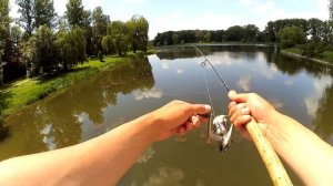 Как ловят на джиг карпа. Рыбалка на озере