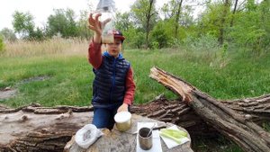 Как добыть соль в лесу.