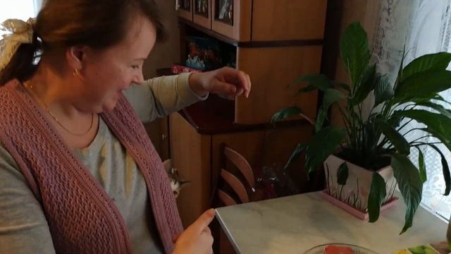 ЖИЗНЬ в ДЕРЕВНЕ. Примерно так мы и хотели. Тихие, зимние дни. смотреть онлайн