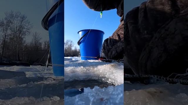 Лучшая поклёвка на поплавок.... смотреть онлайн