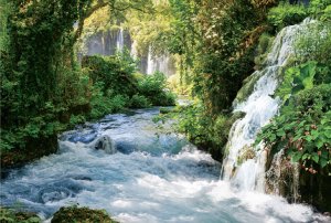 Бирюзовый ручей. Чистая вода и пение птиц в лесу ✦ Релакс ✦ Релаксация