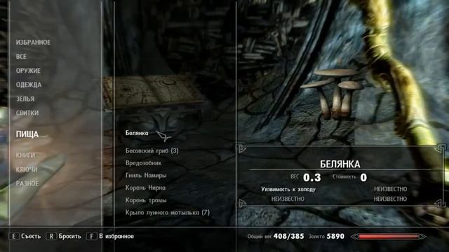The Elder Scrolls V Skyrim (Черная книга и умение Черный рынок )