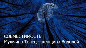 Совместимость мужчины Тельца и женщины Водолея
