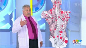 Служба боли. Хроническая боль в пояснице. Жить здорово! Фрагмент выпуска от 30.06.2021