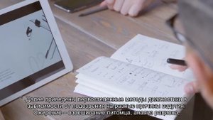 Вздутый и твердый живот у кота или кошки – что делать?