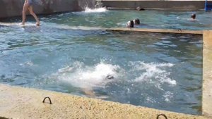 Родник Сурб-Хач. Очень хорошее место. Ростов-на-Дону.