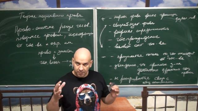 Достоинства и недостатки теории позитивного права смотреть онлайн