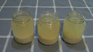 ВОДА имеет память. Эксперимент с рисом