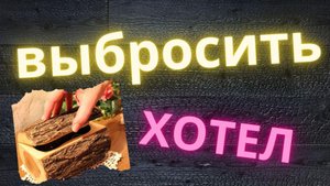 Валялась ветка под ногами.mp4