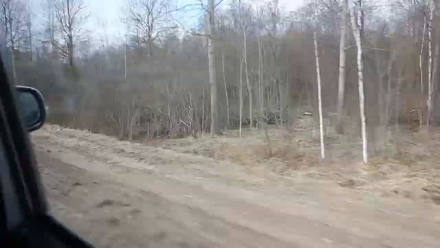 Один рабочий день из жизни экономиста
