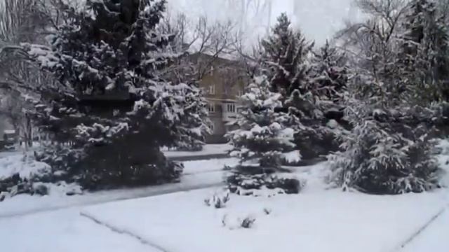 Зима в Ждановке