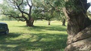 Отдых на реке Омь. Старые Карачи июль 2023