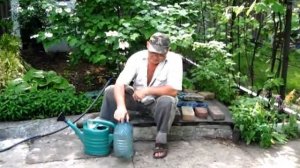 Весенняя подкормка растений карбомидом. Удобряем мочевиной