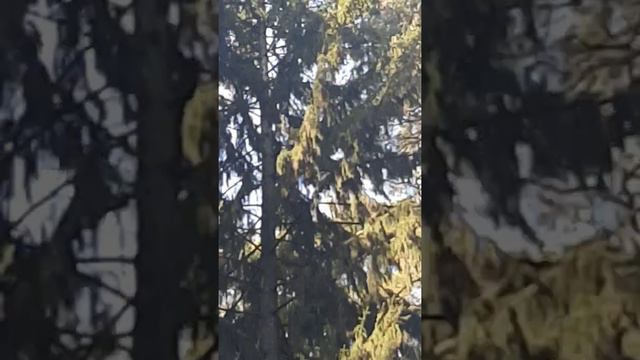 22 сентября 2020 г. смотреть онлайн