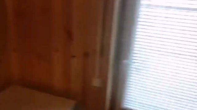 дача на берегу р. Дитва, для комфортного отдыха #дача #продажадомов