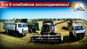 До конца уборки менее 300 га.! Скучковались все "ёжики" на поле с яровой пшеницей.