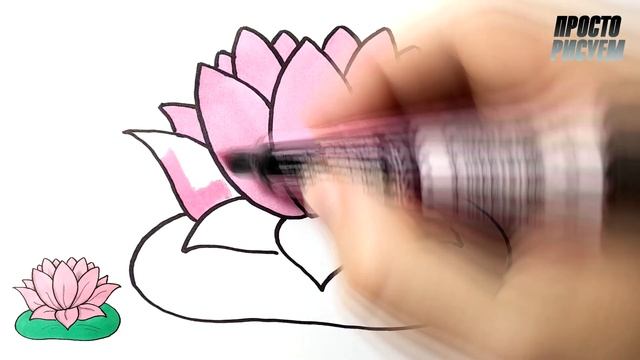 Как нарисовать ЦВЕТОК ЛОТОС легко