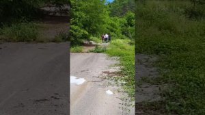 Переработка отходов пиролизом в Боснии и Герцеговине. Начало