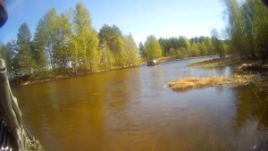 Тритон 1 плавает.