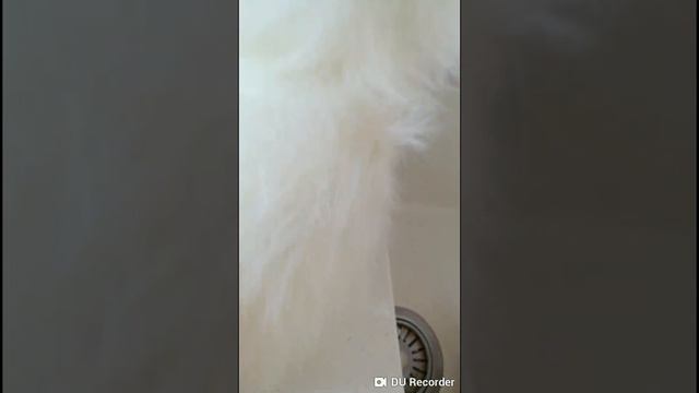 Проверка полудрагоценных камней на подделку смотреть онлайн