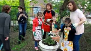 Сажаем растения