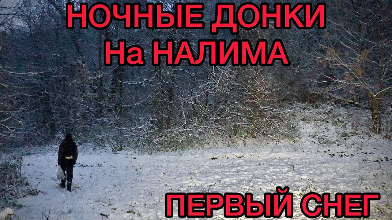 НОЧНЫЕ ДОНКИ на НАЛИМА на РЕКЕ/ ПЕРВЫЙ СНЕГ 2023 смотреть онлайн