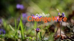 ? Водена медитация чакри - Събуждане на чакрите: Йога нидра 5 на български език с Любомир Розенщайн