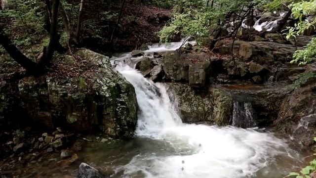 19 СЕНТЯБРЯ - МИХАЙЛОВОЕ ЧУДО! КРАСИВОЕ ПОЗДРАВЛЕНИЕ С ПРАЗДНИКОМ,С МИХАЙЛОВЫМ ДНЁМ! 2023! смотреть онлайн
