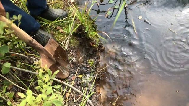 ? Как копать глину? Где найти? Александр Заборских Волшебство керамики