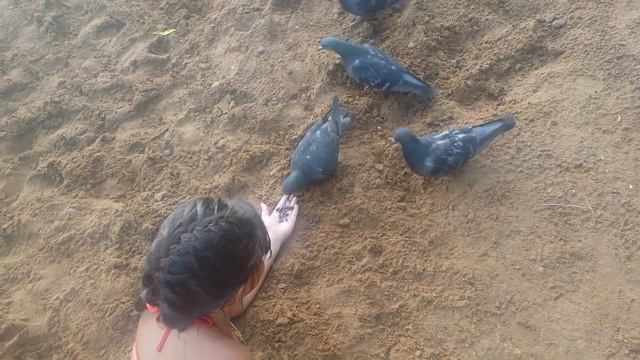 Русалки существуют!!! В Пермском крае на берегу видели 2х русалок!!! смотреть онлайн