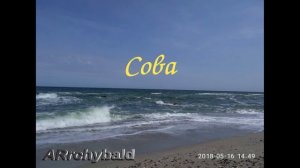 Сова   ( Борис Заходер. стихи )