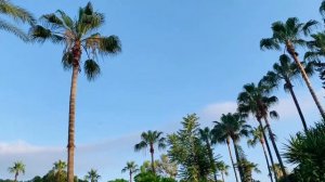 АЛАНЬЯ ЦЕНТР что посмотреть! Какие МОРЕ, ПЛЯЖИ, КРЕПОСТЬ, ЦЕНЫ, РЫНОК сегодня? ОБЗОР Турция