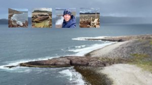 В Териберку на машине. Август 2022.