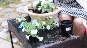 🌸 Simple White Flowers Basket  (2020)