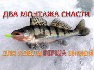 ДВА МОНТАЖА СНАСТИ!!! ДЛЯ ЛОВЛИ БЕРША ЗИМОЙ!.mp4