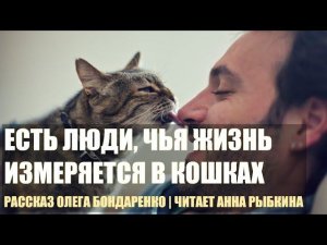 Ушедшая на радугу кошка вернулась маленьким котенком