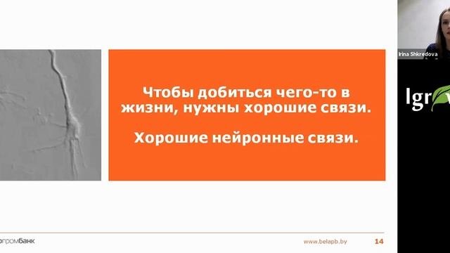 Вебинар: 
