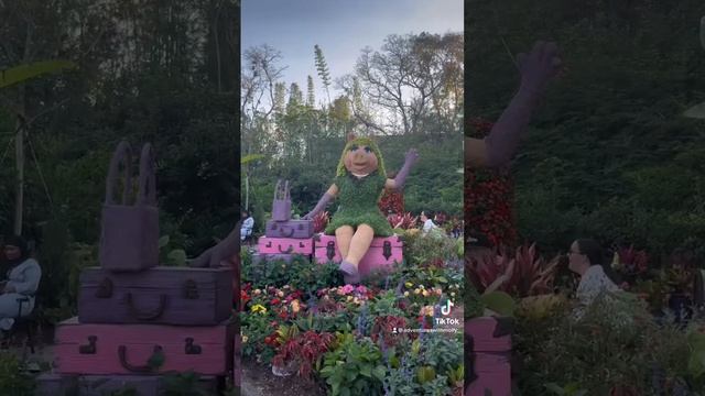 Epcot Flower And Garden Festival topiaries 2023 #disneyworld #shortsfeed #epcot