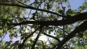 Усман Эльмурзаев: Бихьурмати сирри суратиль-фатихьа алар