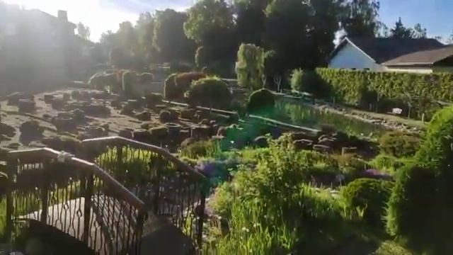 Аренда подрезчика дерна Kashin SC350` | Аренда станков
