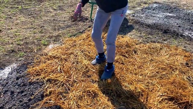 #165 Начало положено, весенняя уборка территории. Переезд из Москвы в Краснодарский край. смотреть онлайн