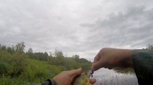 Ловля окуня на реке Медведица. Рыбалка на спиннинг. Окунь NA KRUCHKE.