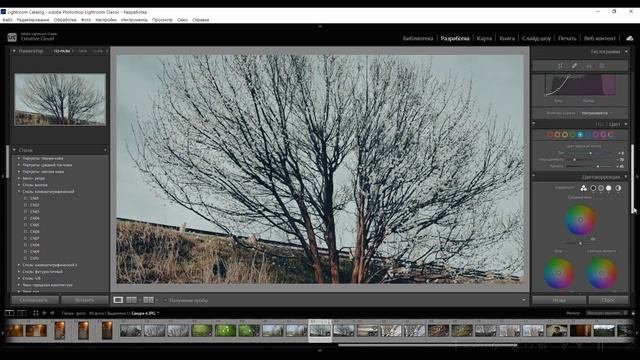 Как легко отрегулировать силу пресета в Adobe Lightroom
