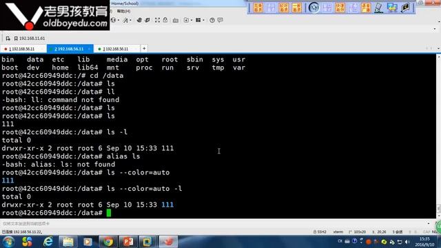 L015-老男孩高级架构师体系-docker-6.docker数据管理(1) смотреть онлайн