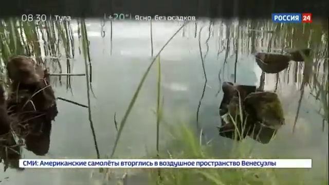 озеро Светлояр Нижегородская область