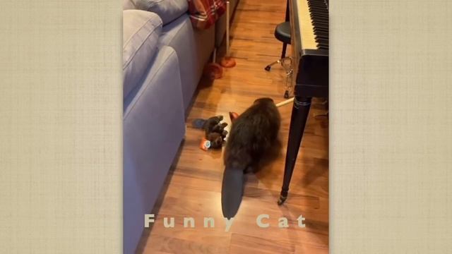 Смешные КОТЫ, СОБАКИ, ЕНОТЫ, ПОПУГАИ #24 / Ржачные животные 2021. смотреть онлайн